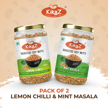 Mint Masala Pack of 2