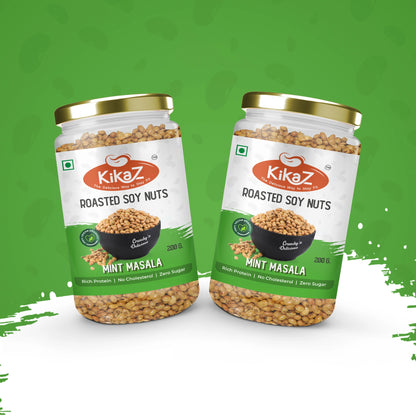 Mint Masala Pack of 2